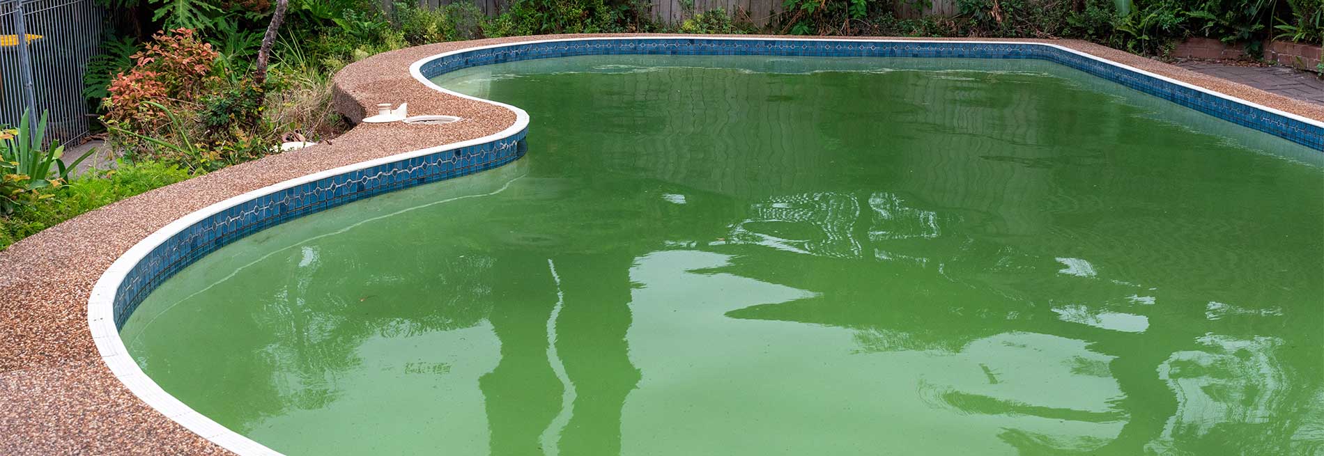 Comment rattraper une eau de piscine verte rapidement ?