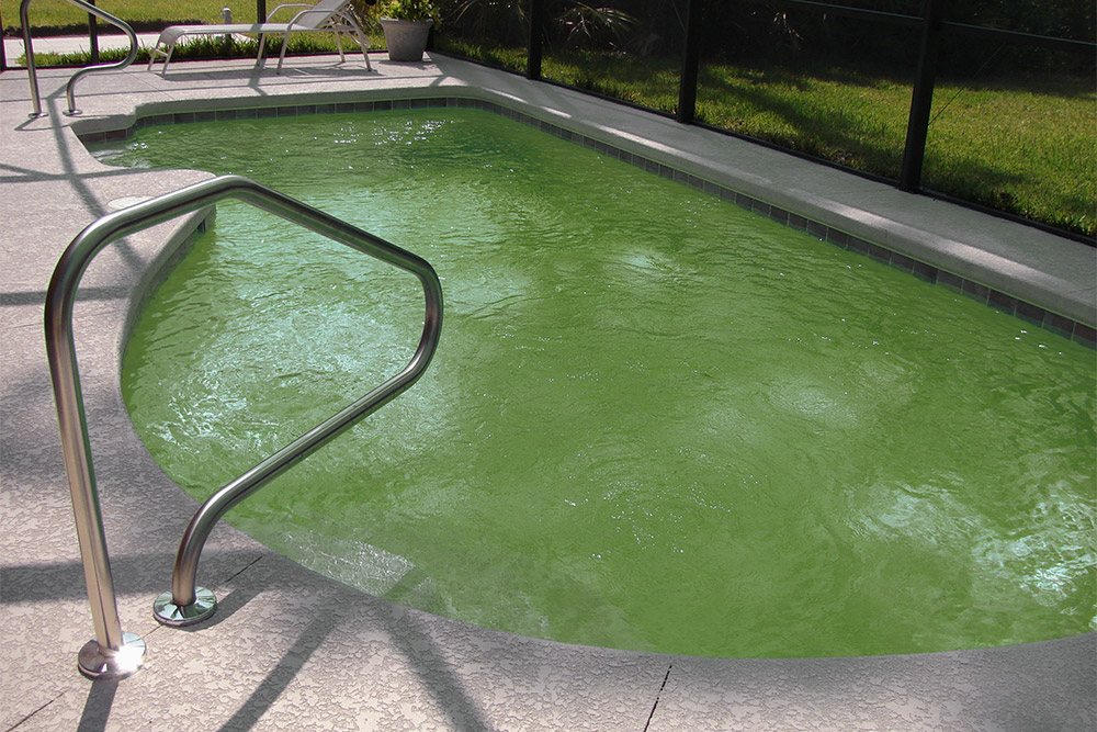 Comment rattraper une eau de piscine verte ?