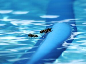 Lire la suite à propos de l’article Comment éloigner les insectes de la piscine ?